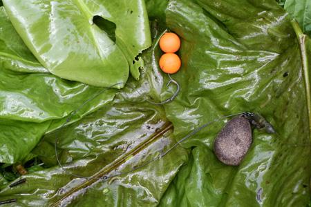 dip si boilies - files.jpg